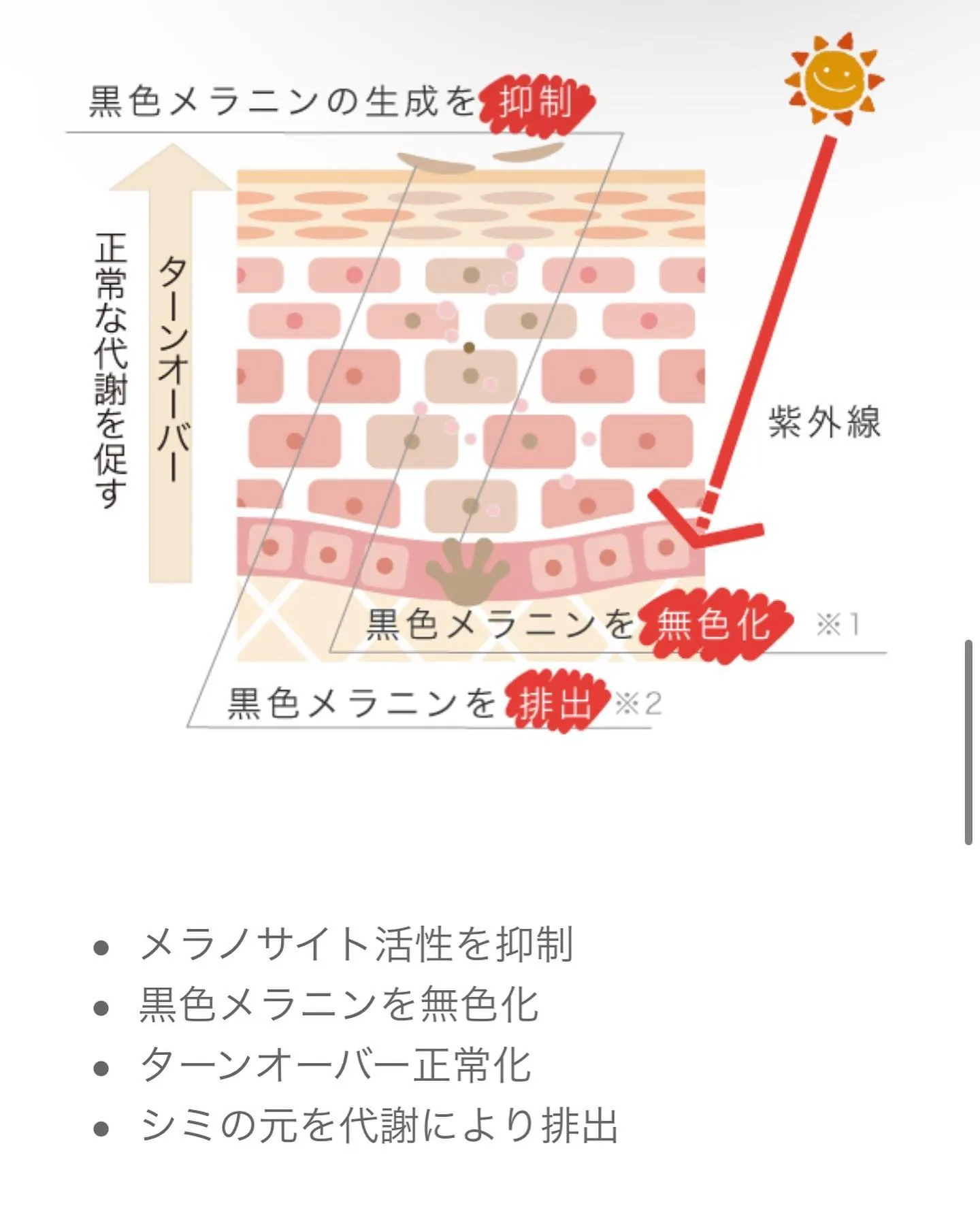 【シスミンcホワイト】