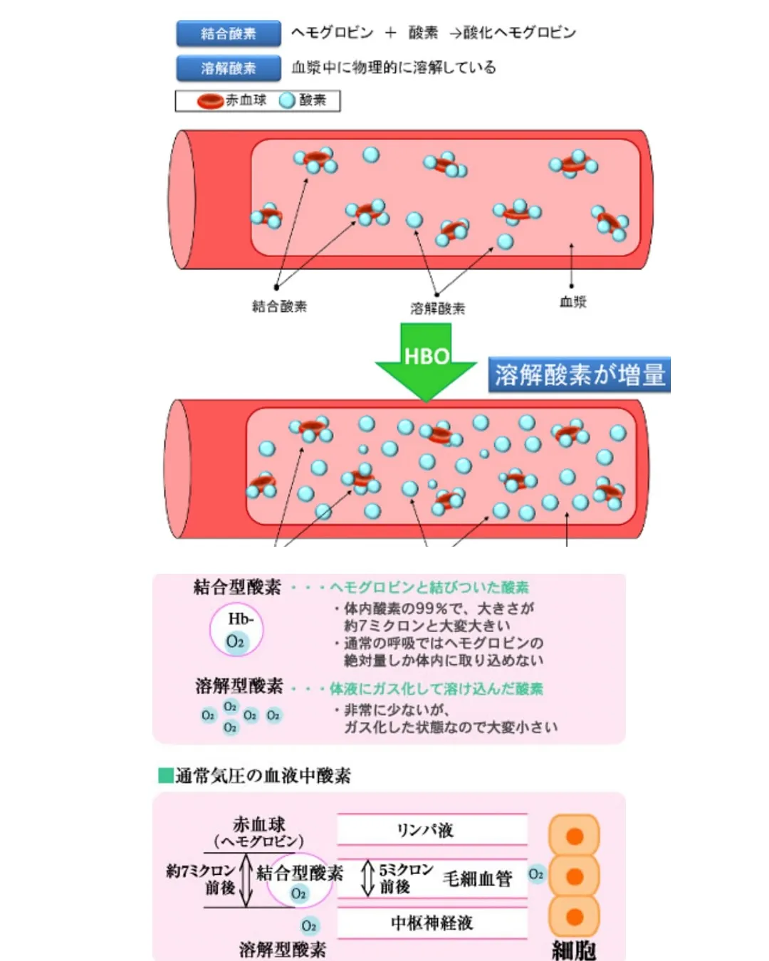 6月キャンペーン