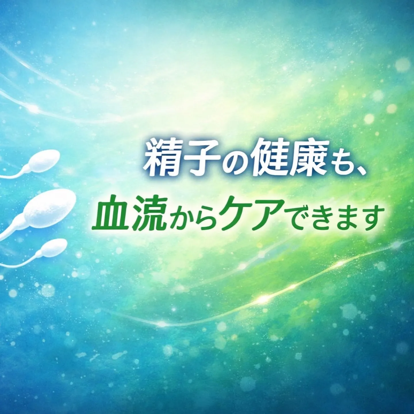 4月限定キャンペーンのお知らせ｜名古屋・古民家サロン彩生