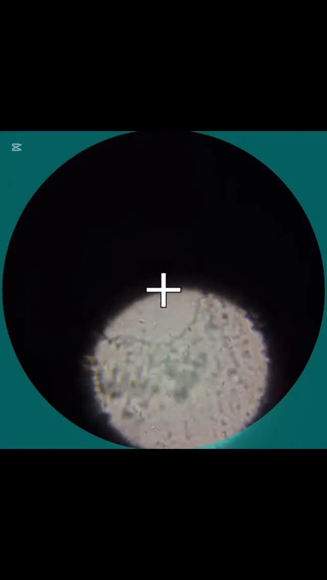 ジャップカサイ〜精子検査キット